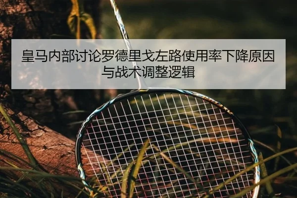 皇马内部讨论罗德里戈左路使用率下降原因与战术调整逻辑（kaiyun）